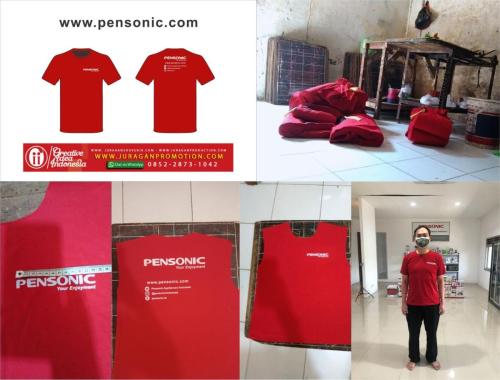 pensonic